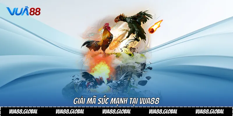 Giải mã sức mạnh tại VUA88
