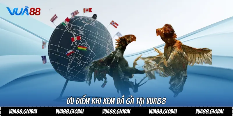Ưu điểm khi xem đá gà tại Vua88